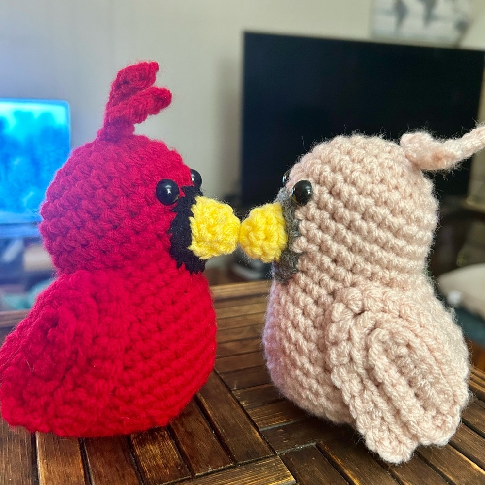 Handmade Crochet Bird Pair
